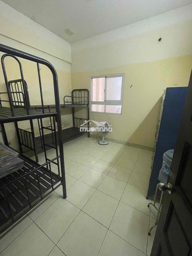 Cần nam ở ghép phòng trong nhà nguyên căn