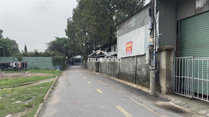 Cho thuê kho xưởng giá rẻ, mỹ phước tân vạn