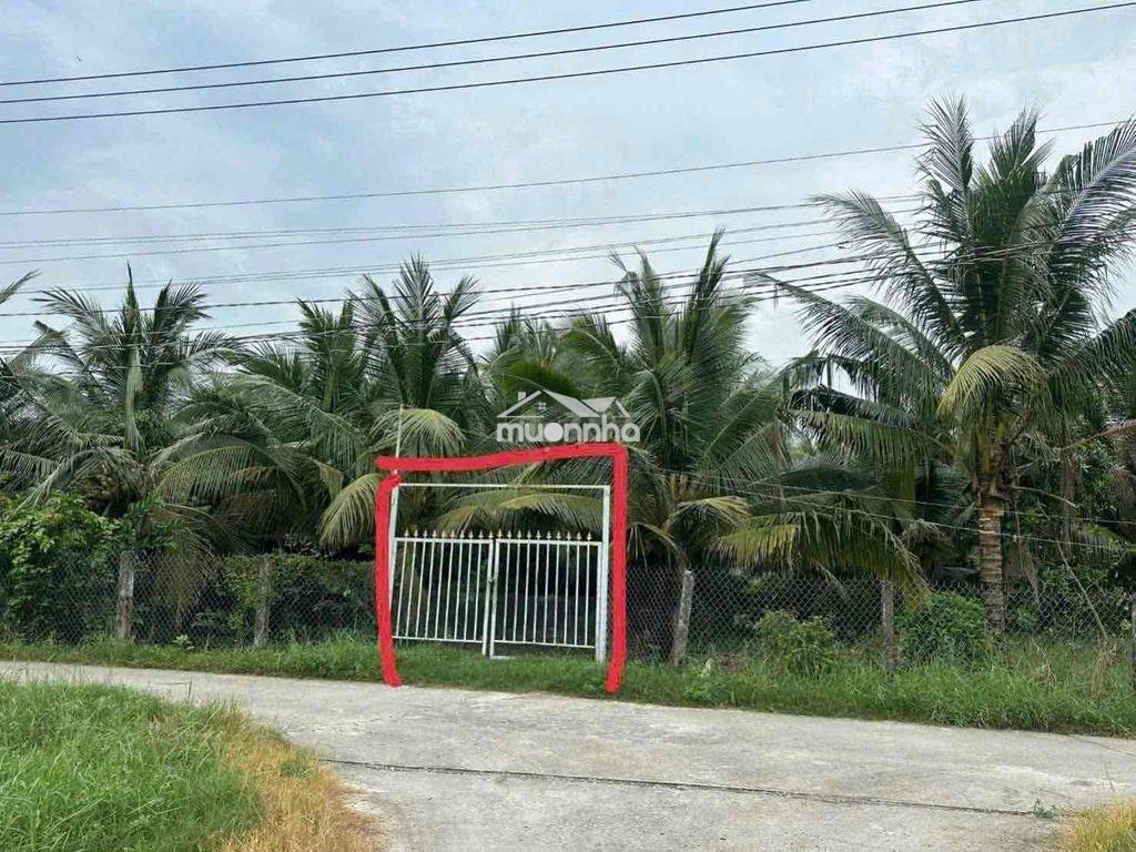 Đất cho chuyển thổ 3mt 1900m2 chỉ 2.25 tỷ vườn dừa tân trụ, long an - 2