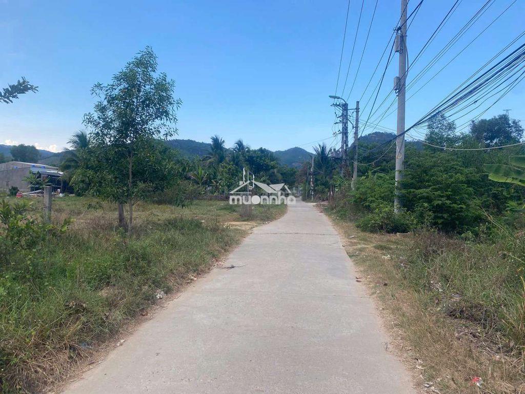Đất thổ cư p.bắc nha trang rẻ nhất khu vực - 2