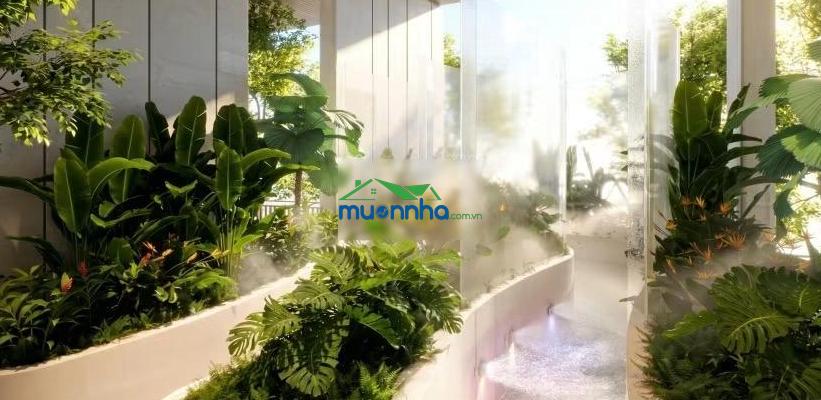 Monrei saigon, mitsubishi, căn 38m2 trực diện sông lười, tầng thấp, 15% ký hđmb ngưng đến nhận nhà - 3
