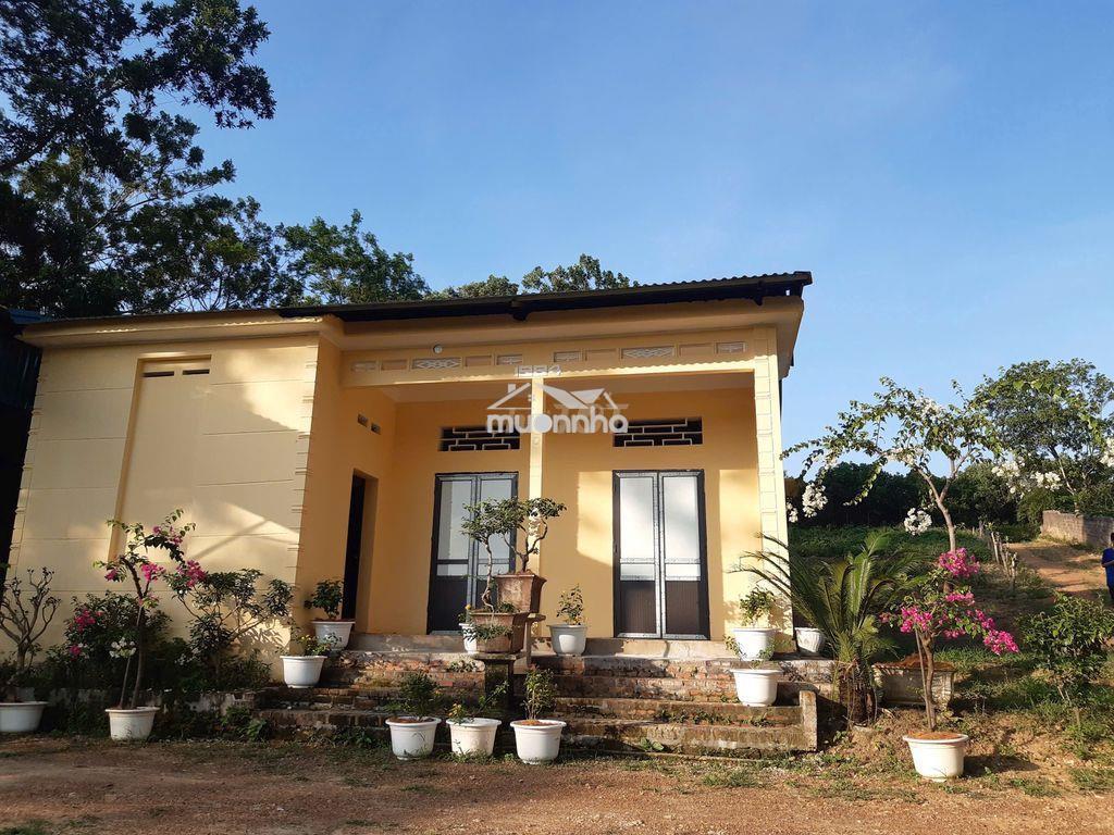 Cần bán nhà vườn 2193m²  chính chủ - ba vì, hà nội - 3