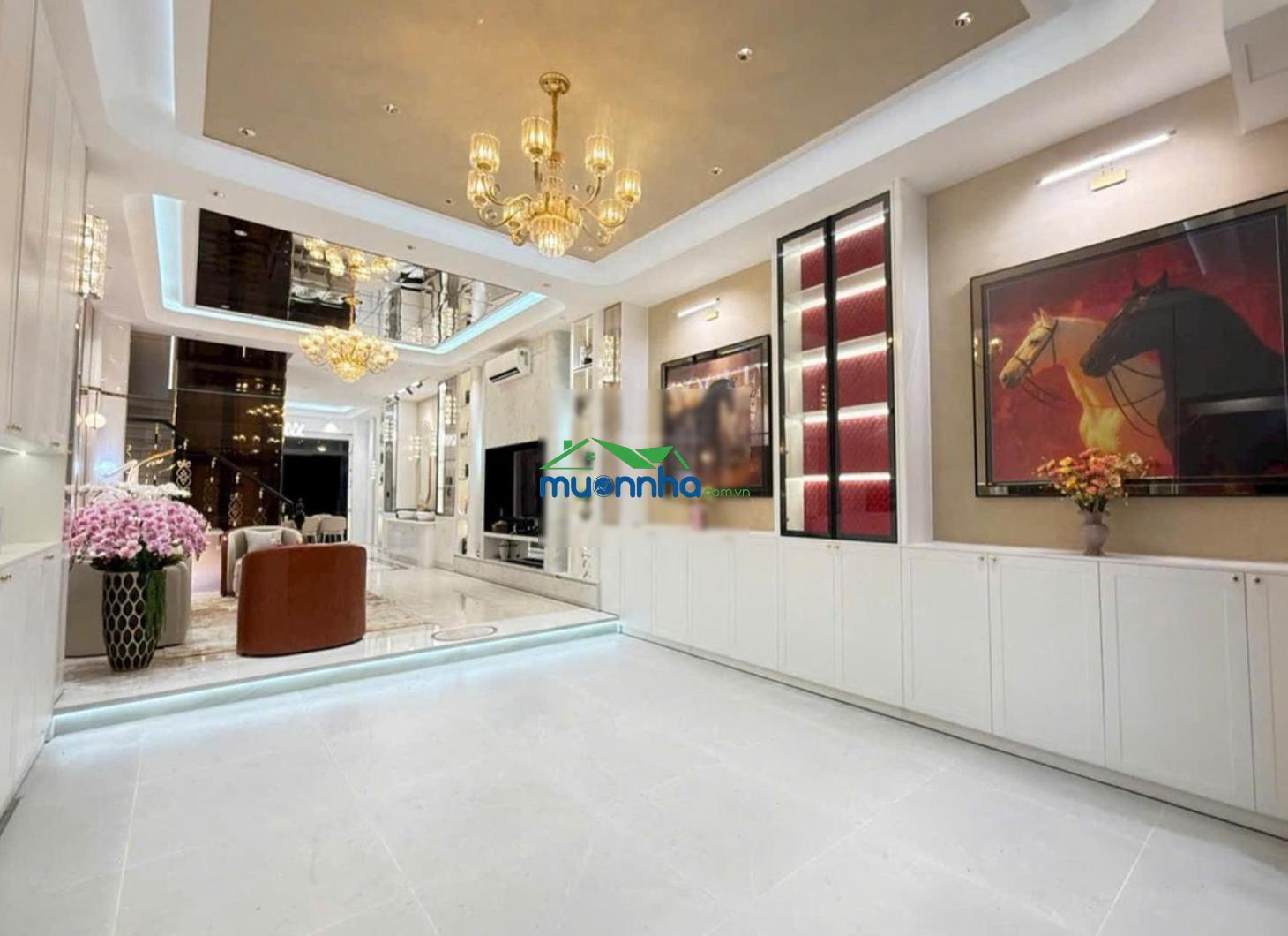Nhà thiết kế luxury phạm viết chánh quận 1 - vừa ở vừa kinh doanh tốt - 2