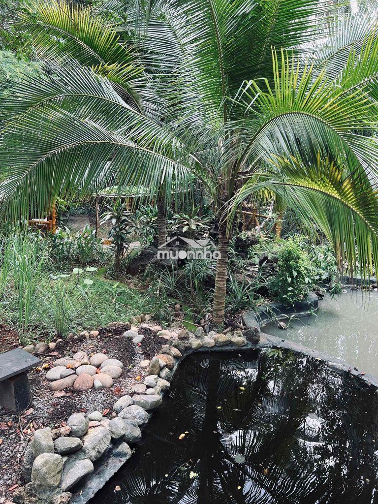 Vườn nghỉ dưỡng sổ riêng thổ cư - long khánh - thành phố đồng nai