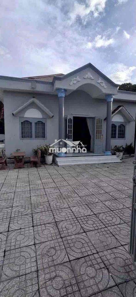 Biệt thự vườn phú thọ 1400m2 chỉ 14tr - 2