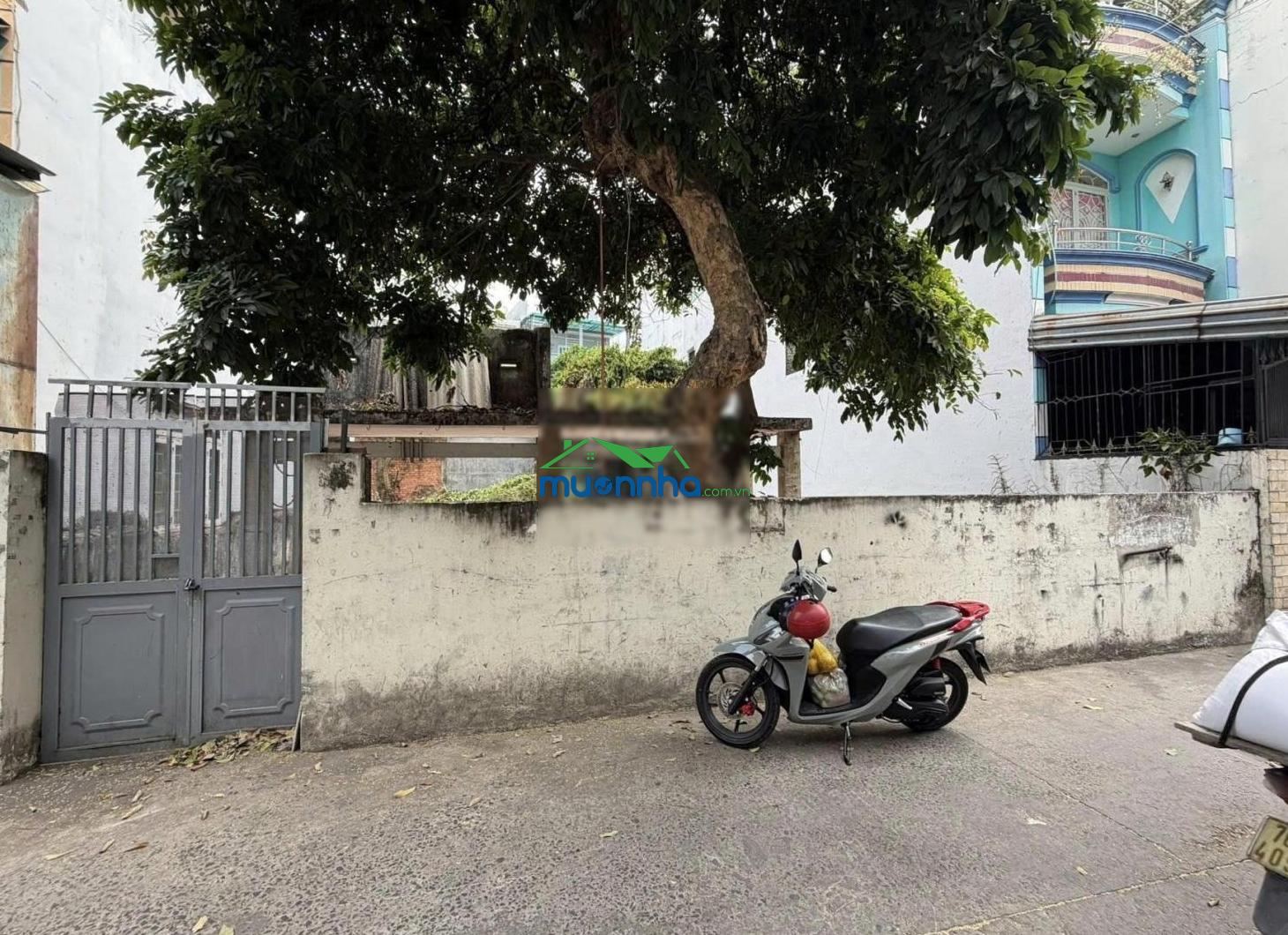 277m2 phù hợp xây dựng chdv - hầm 7 tầng, nguyễn thái sơn gò vấp - giá chỉ 18,5 tỷ