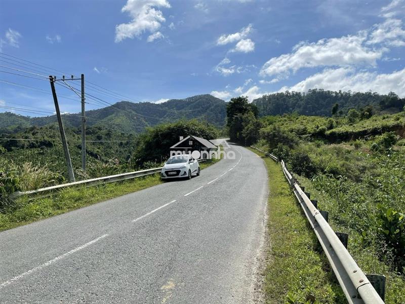 🌳 🌿 Gần 1 hecta mặt tiền quốc lộ 27, lâm đồng 🌿 🌳