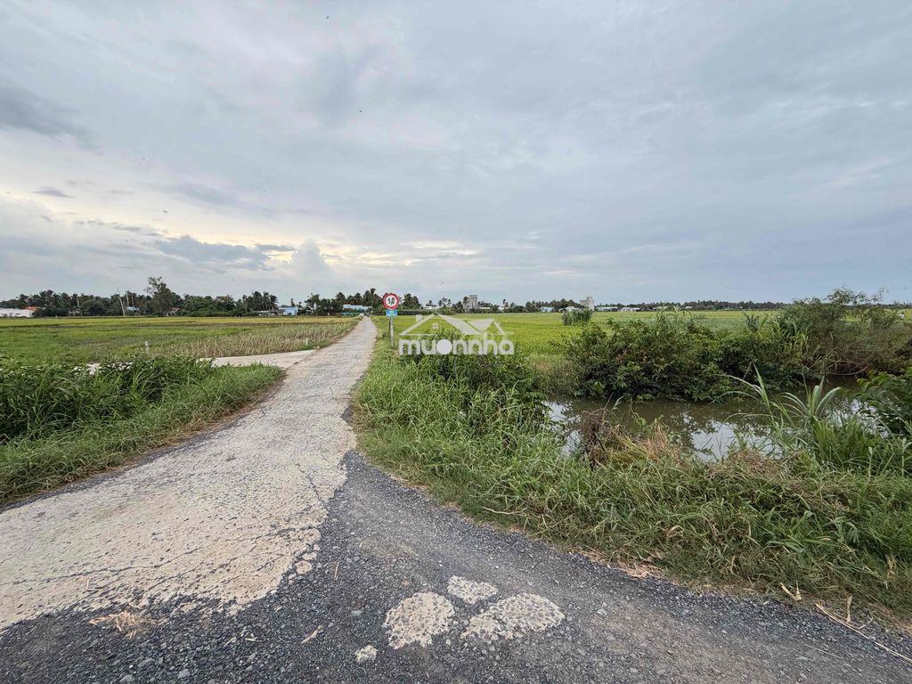 Đất mặt tiền 555,9mv 380triệu - 2