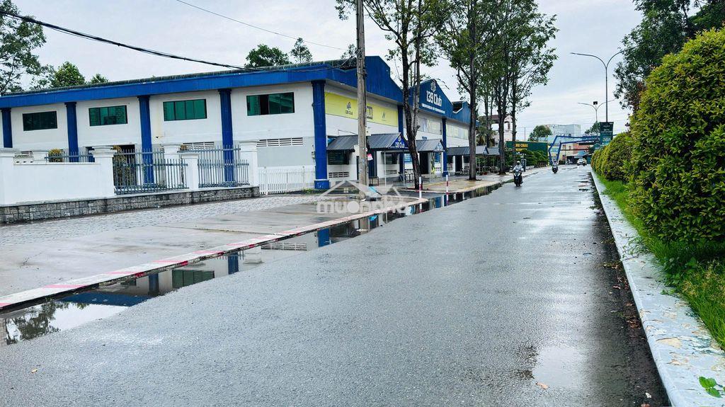 🔥 339 triệu – sở hữu đất nền sổ hồng riêng tại vạn phát avenue! 🔥 - 2