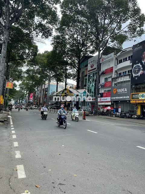 Góc 2mt thương hiệu trần hưng đạo_8x18m_5 tầng_phúc long thuê 200tr - 2