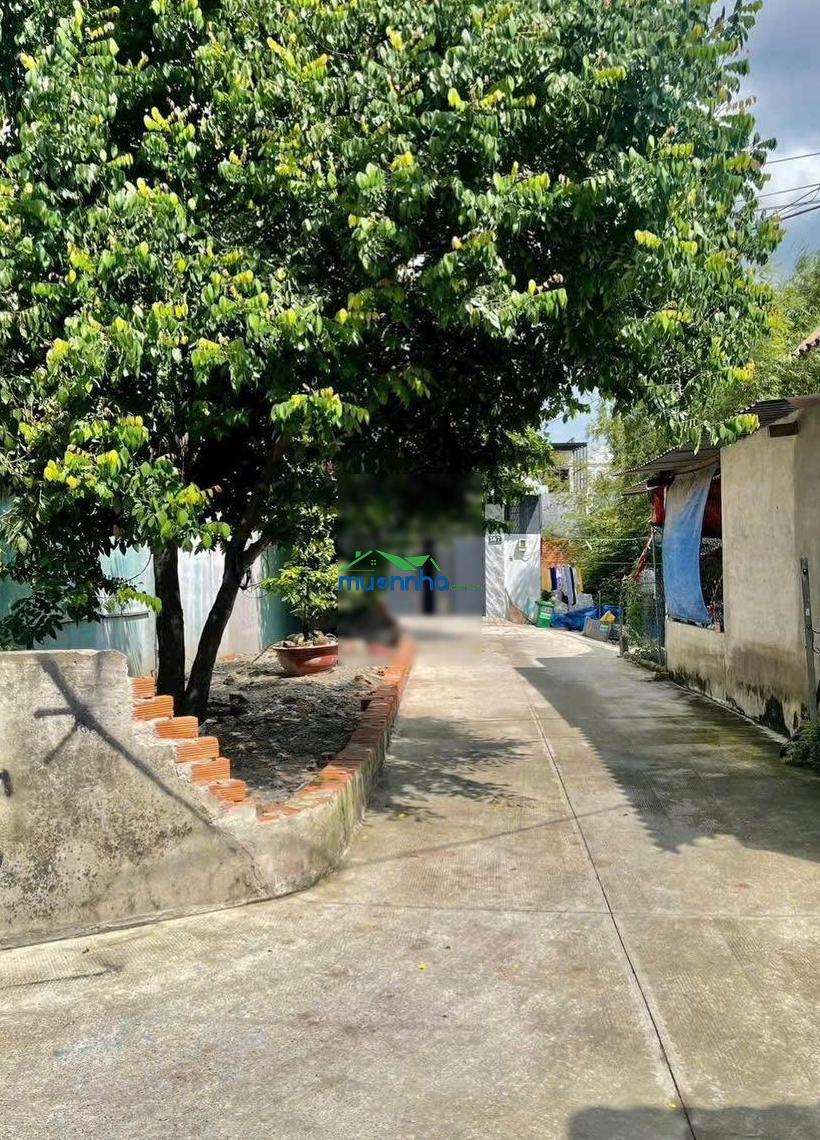 Bán dãy nhà trọ gần 300m2 xuân thới sơn, hóc môn. đang cho thuê 20tr/th