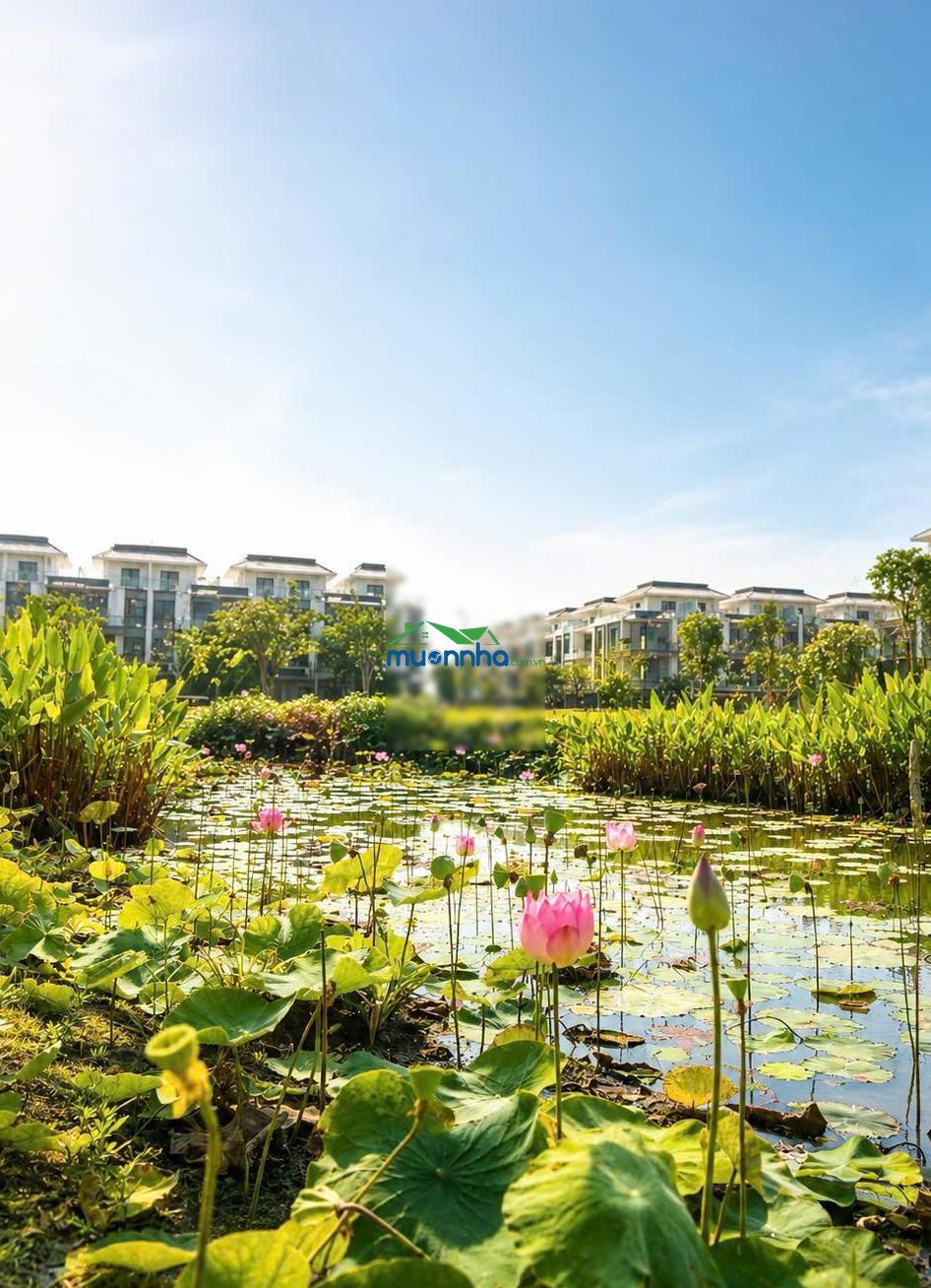 Biệt thự đơn lập view sông 3 mặt tiền q2 hướng đb - sổ hồng khang điền keppel. vốn 20% ck đến 7.7tỉ - 4