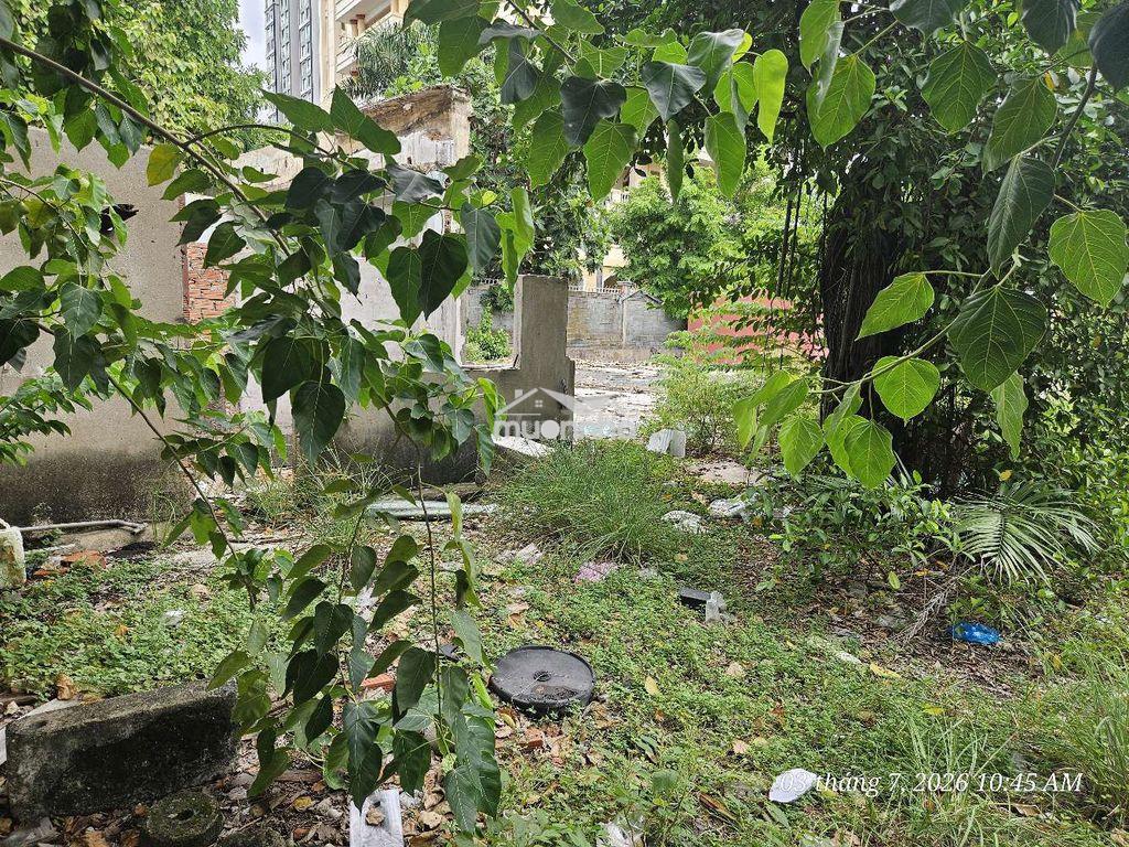 Cho thuê lẻ hoặc toàn bộ khu đất gần 6000m2 q1 - 3