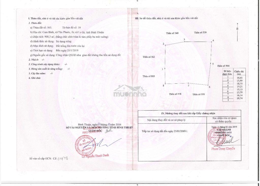 Chính chủ cần bán 2 khu đất mặt tiền tại đ. nguyễn du lagi bình thuận - 2
