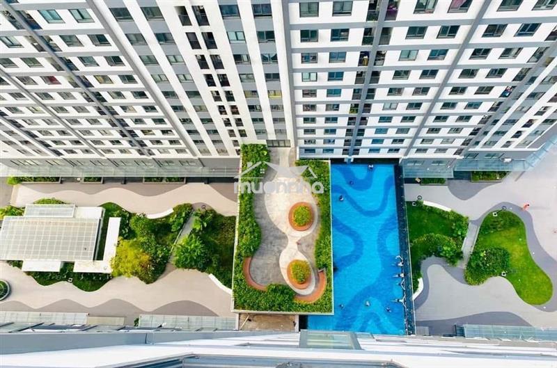Cho thuê căn hộ saigon intela - 50 m2 - 5.5 tr/tháng