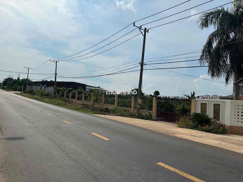 Chính chủ bán lô đất biết thự nhà vườn . thổ cư . sổ riêng . - 4