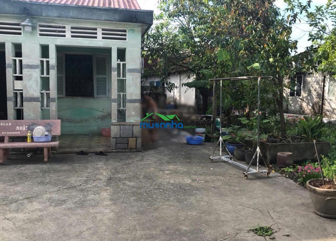 Nhà vườn cực đỉnh - thông số lý tưởng 22x35m - vị trí đẹp gần mặt tiền - shr thổ cư - 3