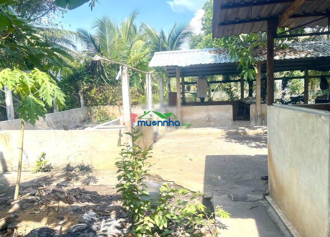 Nhà vườn cực đỉnh - thông số lý tưởng 22x35m - vị trí đẹp gần mặt tiền - shr thổ cư - 2