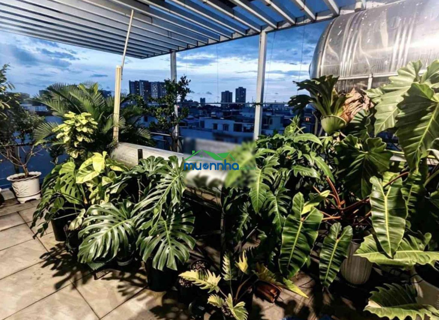 Hẻm xe hơi ngay chợ bà hoa - 65m2 - ngang 4.6m - 3 pn - nguồn thuê 15tr/th - chỉ nhỉnh 6 tỷ - 3