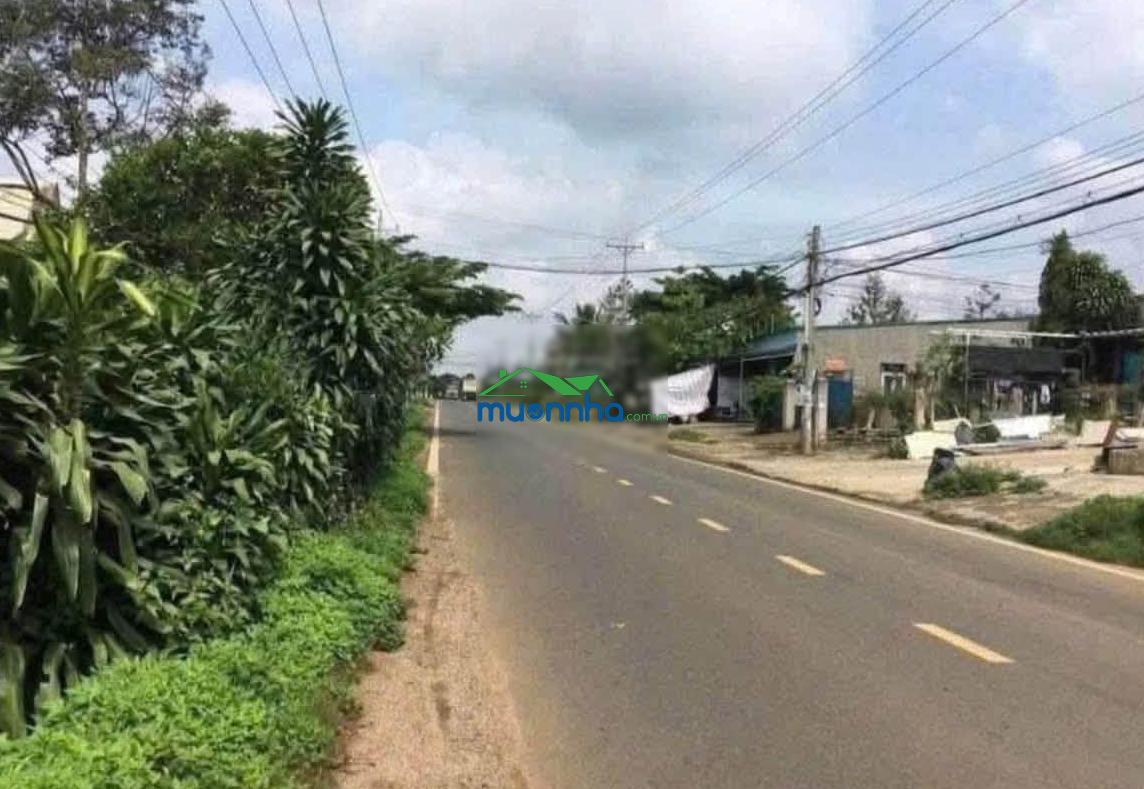 Bán nhà riêng tại võ thị dòn, 1,79 tỷ, 100m2, 3pn, 3wc, view đẹp - 2