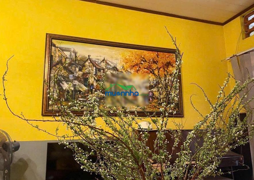 Cc bán nhà hẻm nhựa xe tải, lê văn sỹ - trường sa-q3-dt 4*21, nhà c4, khu đồng bộ. chỉ 25t tlcc. - 3