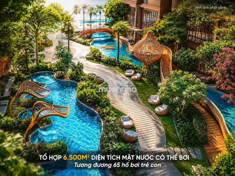 Monrei saigon nhận booking tòa detox 1 chỉ 50tr, nhiều ưu đãi