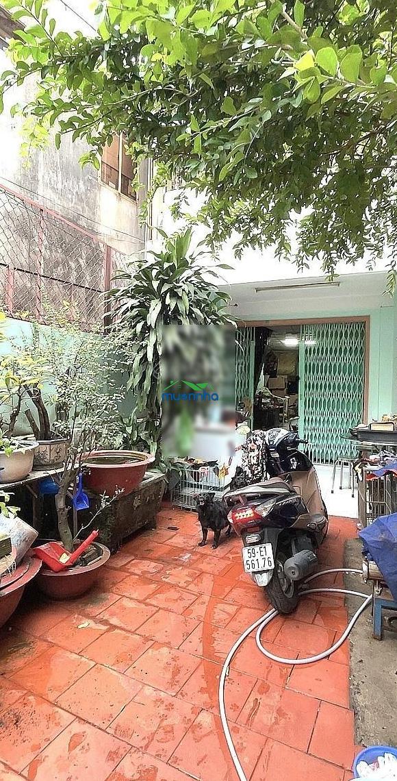 Hiếm! nhà 84m² hxh thông trần văn quang, cách âu cơ 20m, tiện xây mới, 5.8 tỷ