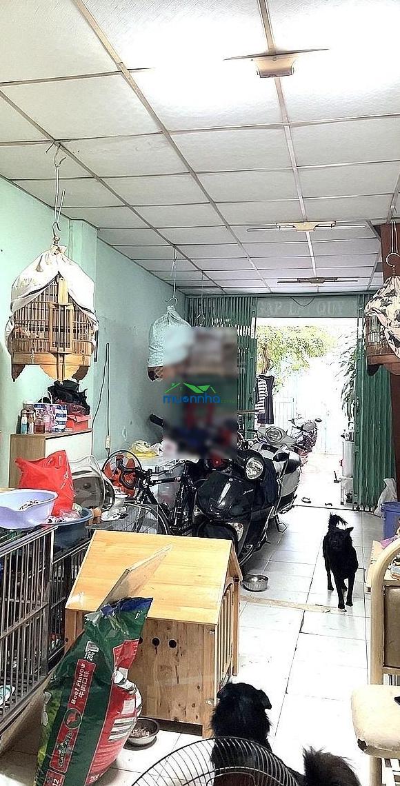 Hiếm! nhà 84m² hxh thông trần văn quang, cách âu cơ 20m, tiện xây mới, 5.8 tỷ - 2