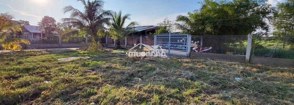 1170m2 khu phố 3 trung tâm tân nhựt (sẵn thổ cư) gần nhiều tiện ích - 2