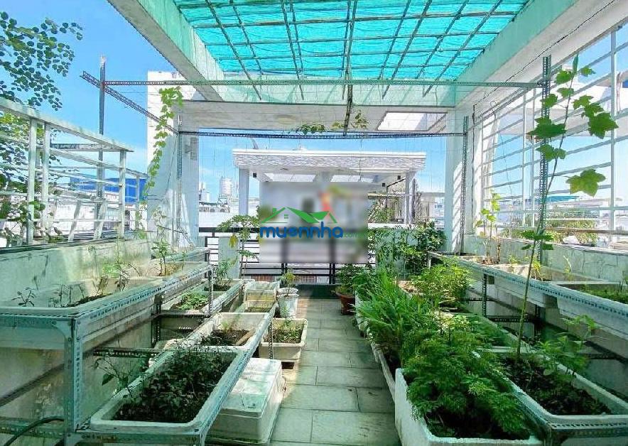 Nhà đẹp hoàng hoa thám - ngay chợ cây quéo - 5 tầng btct - hxh thông - sát phú nhuận - bình thạnh - Ảnh 3