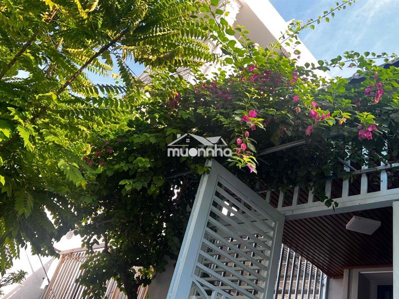 Nhà cấp 4 mới có lửng