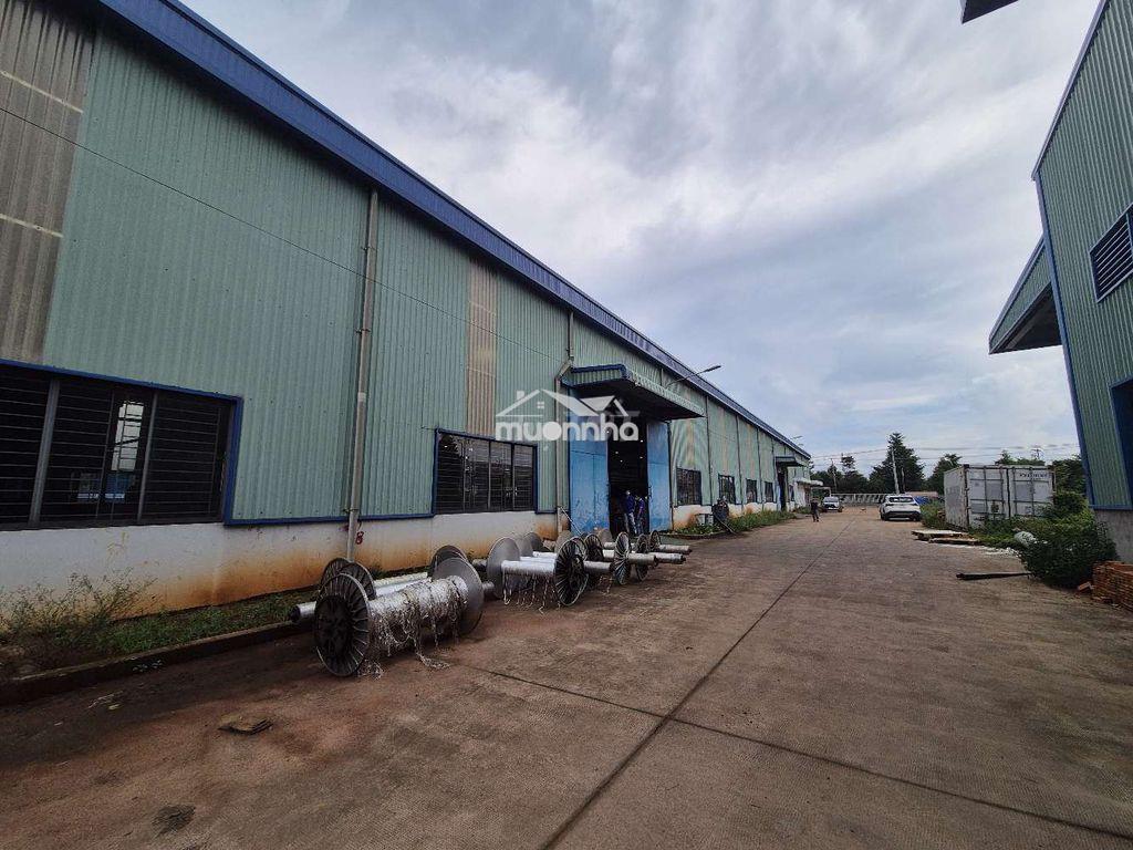 Nhà xưởng kcn long khánh 10.000m² giá chỉ 32,5 tỷ - 3