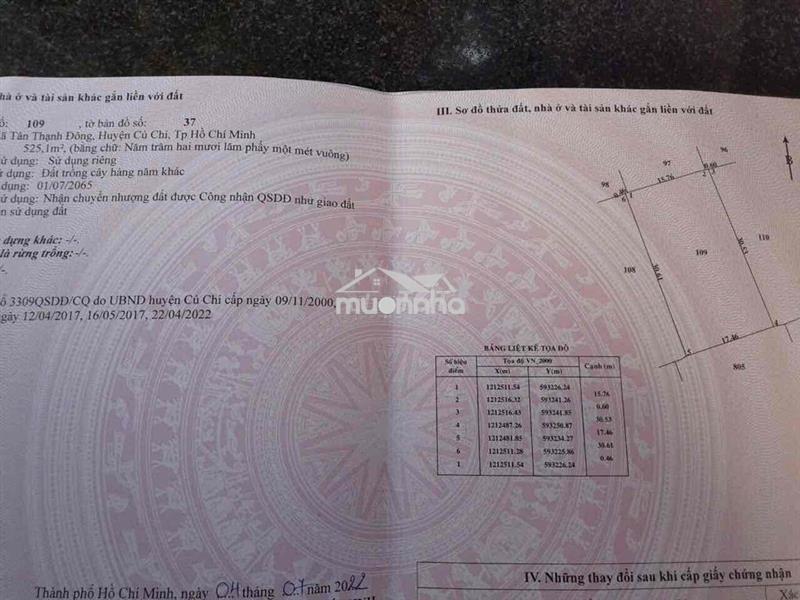Nhà vườn thích hợp nghỉ dưỡng