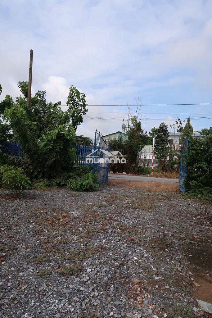 2 mt lộ bờ đai 14,2m x 20m,phuoc lý,go den - 4