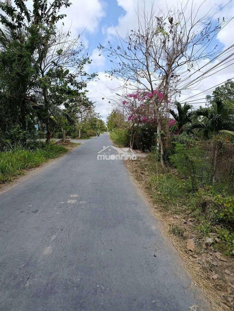 Nền mặt tiền lộ đan 337m² ( ngang 10.42m) - 2