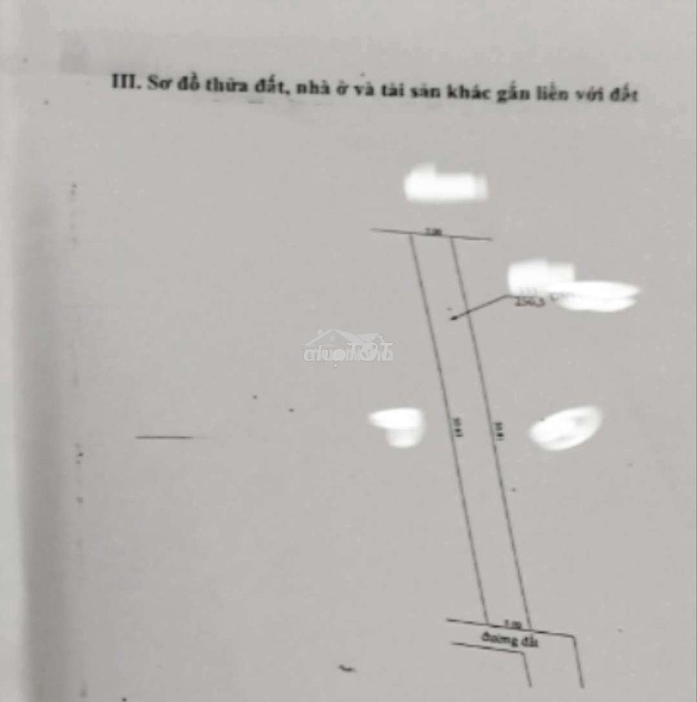 Đất trồng cây lâu năm phân lô cách 1 căn nhà là mặt tiền đường lớn - 3
