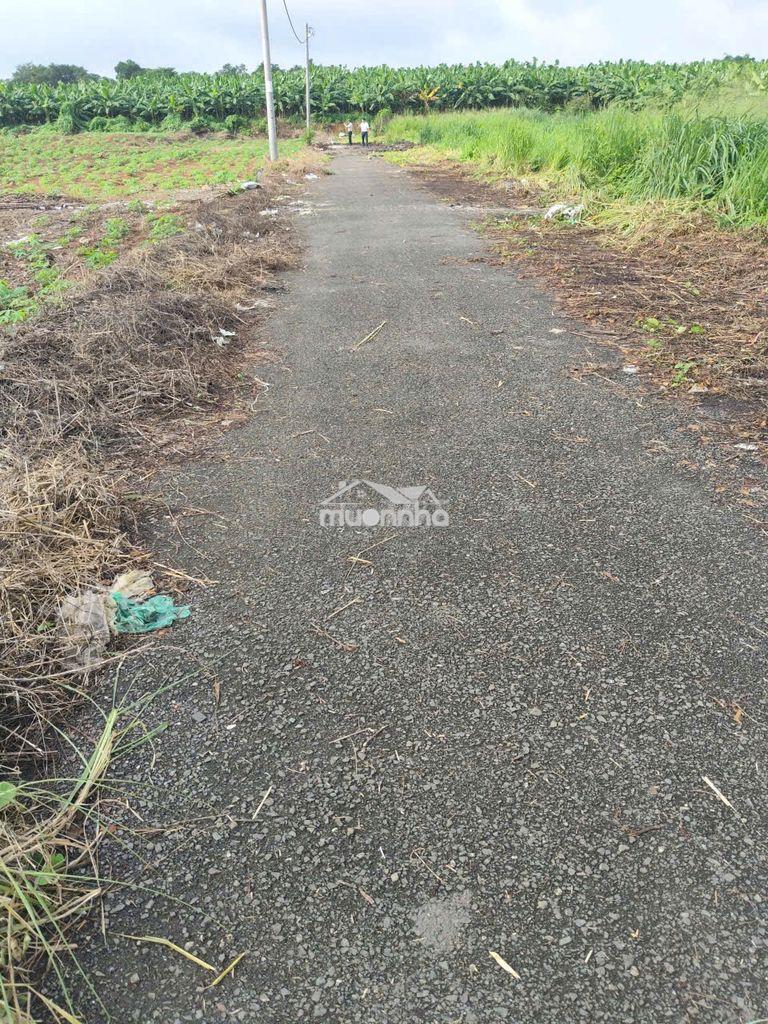 Bán đất 1 xẹc đông hòa 7, đường nhưa, diện tích 135m², sổ riêng thổ cư - 3