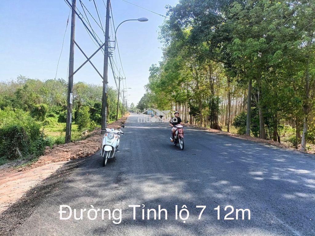 Đất vườn 5000m² 2 sổ riêng chính chủ - an nhơn tây củ chi - 6,8 tỷ tl - 2