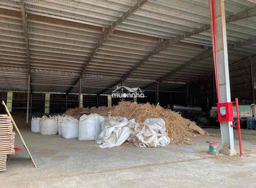 Cho thuê xưởng phú giáo bình dương - 2