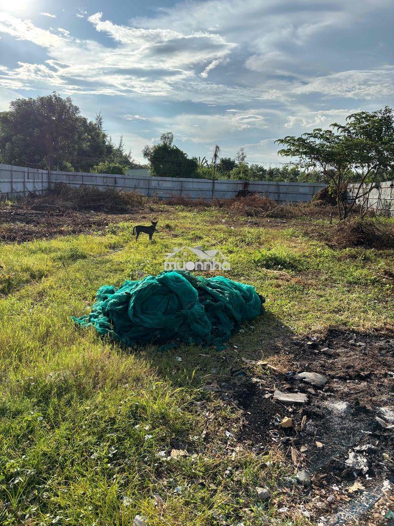 Cho thuê đất vườn / mặt tiền hẻm xe hơi ( phù hợp kinh doanh) - 2