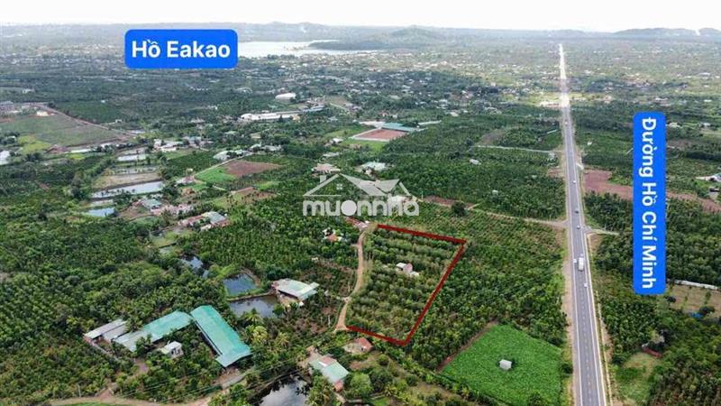 Đất rẫy chính chủ cần thanh lí gấp