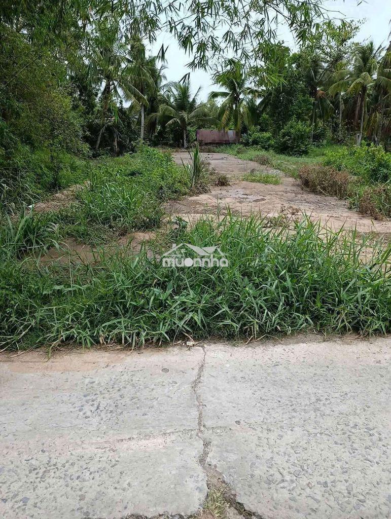 Nền mặt tiền lộ đan 337m² ( ngang 10.42m) - 4
