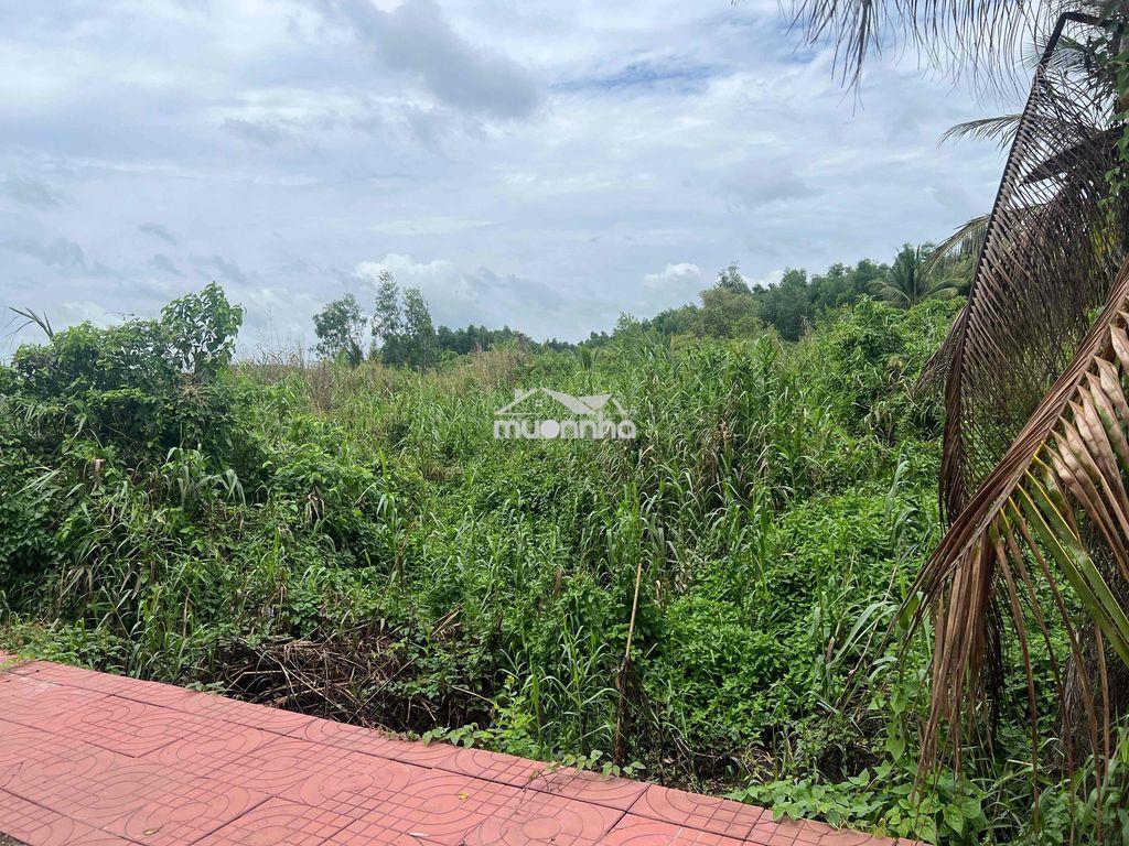 Ngân hàng thanh lý lô đất full thổ cư mặt tiền đường võ văn kiệt - 3