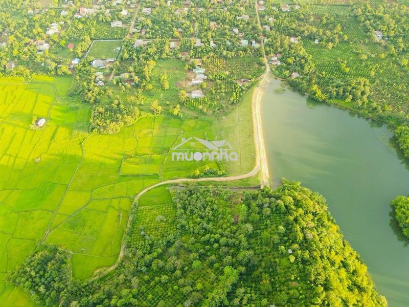 🌿 Sở hữu quả đồi view triệu đô – chính chủ 🌿