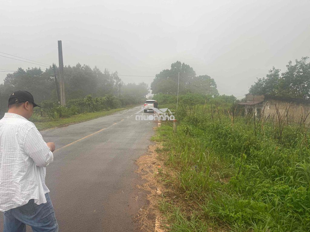 Bán lô đất 3 hecta ở xuân hoà, xuân lộc, đồng nai - 3