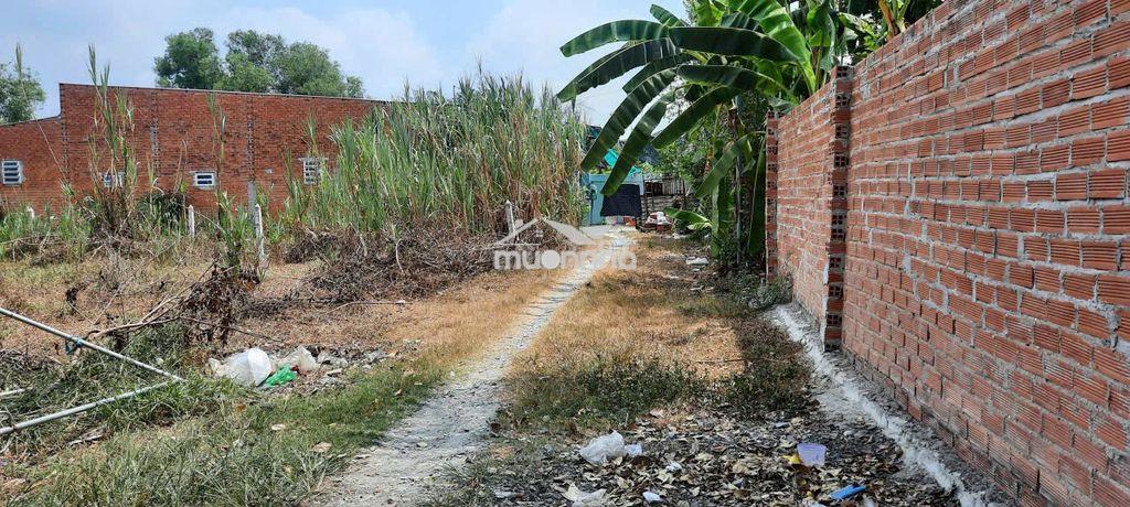 Bán 2 lô đất liền kề an phú, an tịnh trảng bàng tây ninh giá 486tr/lô - 3