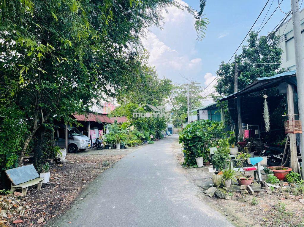 Cần tiền làm ăn nên bán gấp lô sẵn thổ cư 300m , mặt tiền nhựa - 3
