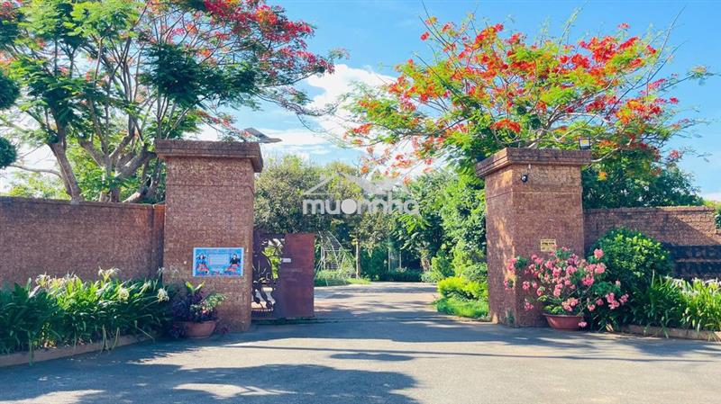 Bán đất hòa long bà rịa vũng tàu