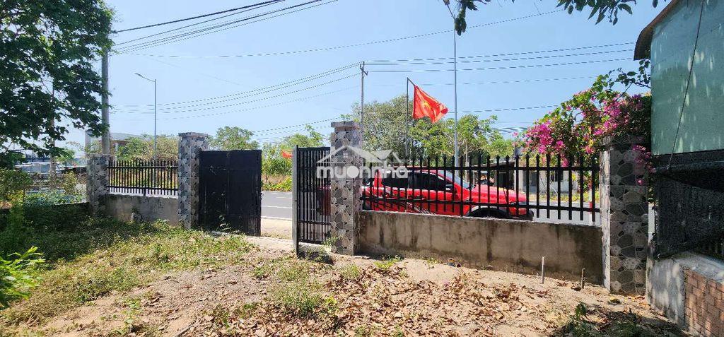 1000m2 mt dt998 hồ tràm, đất vuông vức, nở hậu. tiện làm homestay ở - 4