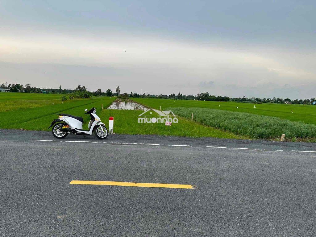 Cần bán đất tỉnh lộ 864 - 3
